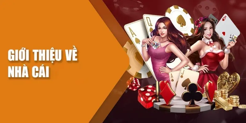 Đánh Giá 8KBET - Tìm Hiểu Chất Lượng Thực Sự Của Nhà Cái 2 Đánh giá 8KBET rất tích cực từ khách hàng