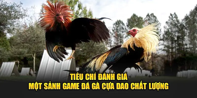 Đá Gà Cựa Dao Tại 8kbet - Sảnh Nhà Cái Số 1 Việt Nam 3 Tiêu chí đánh giá một sảnh game đá gà cựa dao chất lượng.